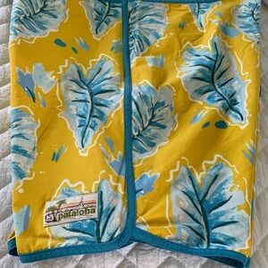 Patagonia Mens Board Shorts